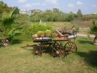 Garden by path to beach