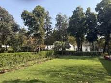 The house and gardens